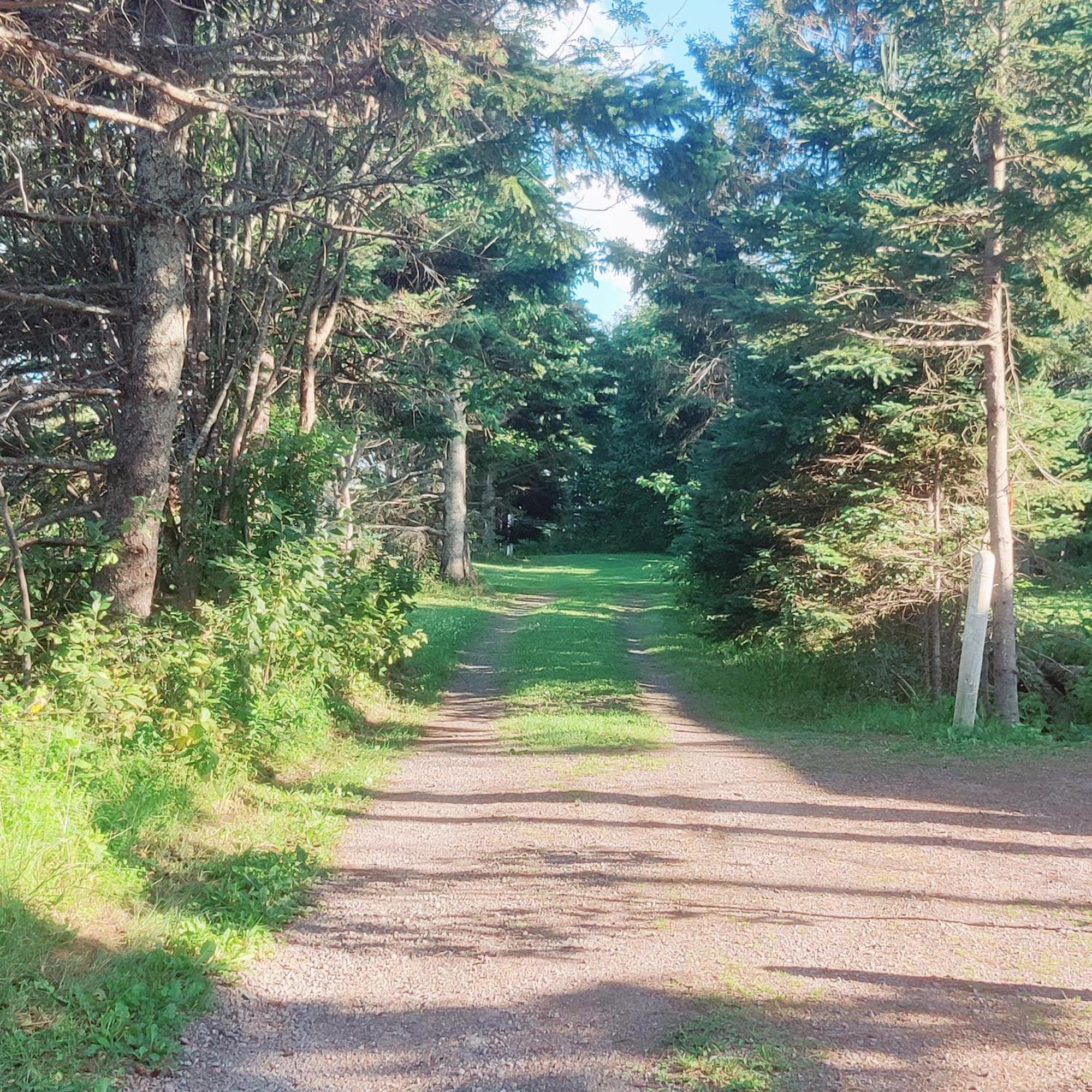 Avonlea Forest Hill Cottages New Glasgow Eksteriør billede