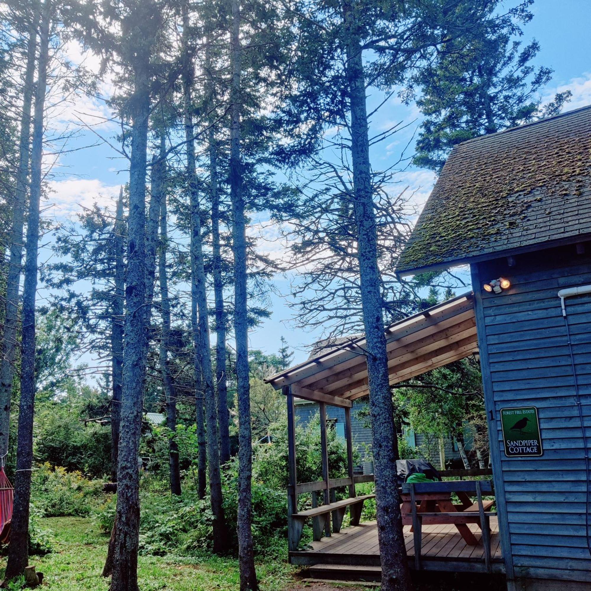 Avonlea Forest Hill Cottages New Glasgow Eksteriør billede